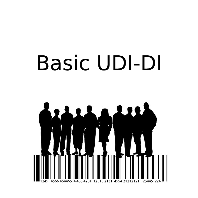 Basic UDI-DI, UDI-DI – informacje ogólne